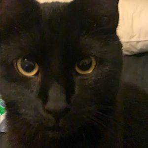 Meet your Posher, Amber